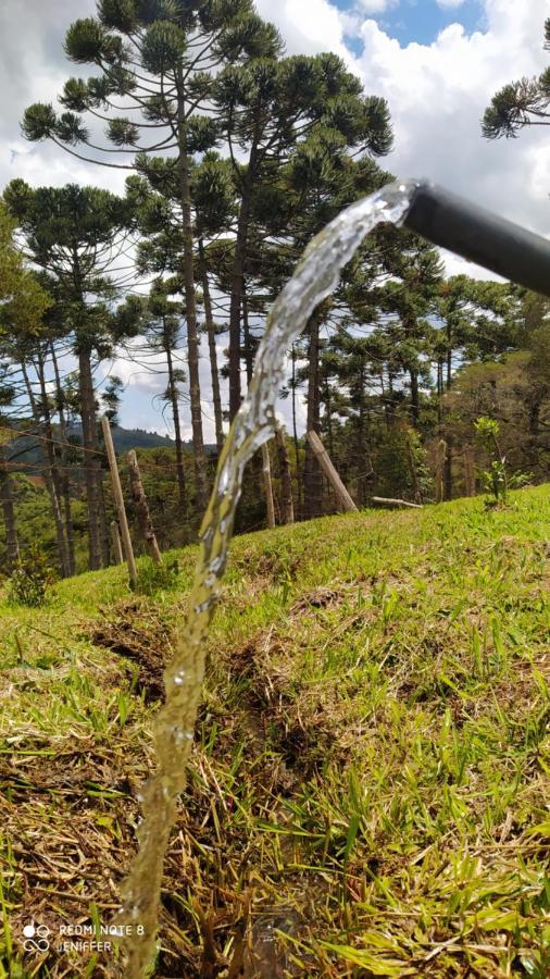 Sitio Refugio Das Araucarias Gonçalves Eksteriør bilde