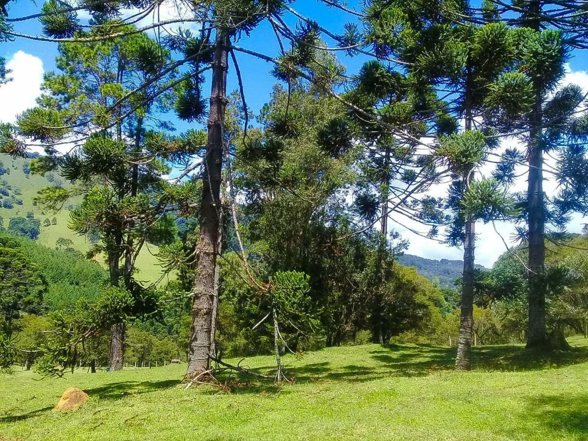 Sitio Refugio Das Araucarias Gonçalves Eksteriør bilde