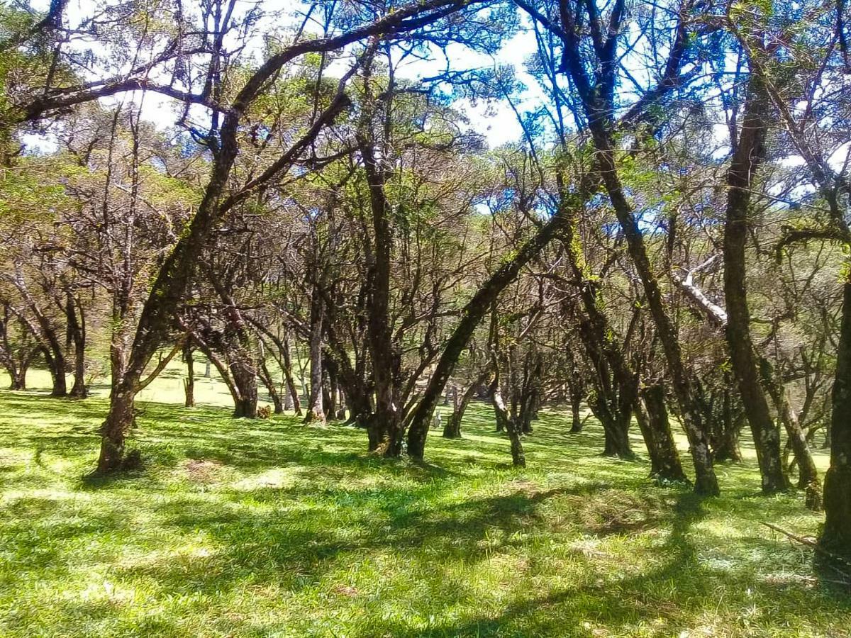 Sitio Refugio Das Araucarias Gonçalves Eksteriør bilde